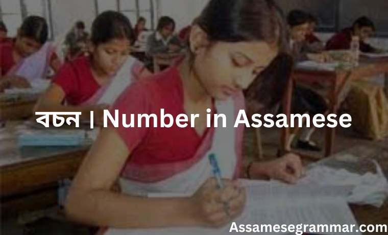 বচন । Number in Assamese