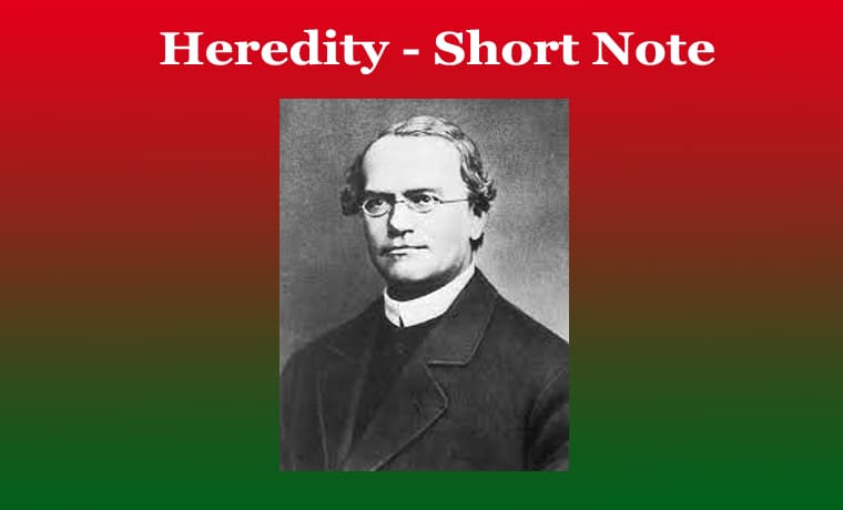 Heredity - Short Note